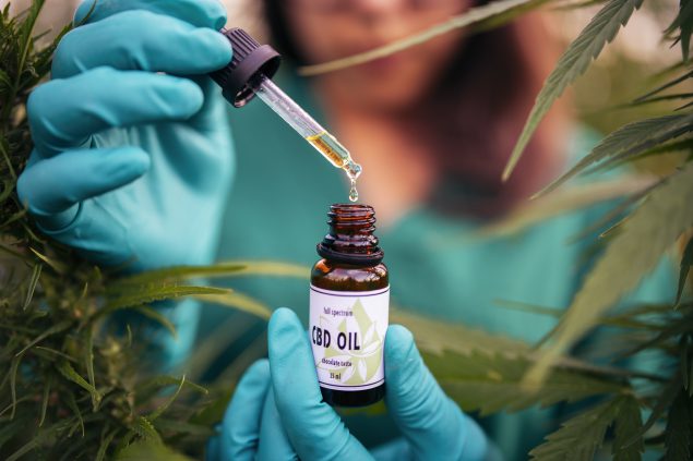Peppermint Delight CBD Oil: Cool and Revitalize Your Body