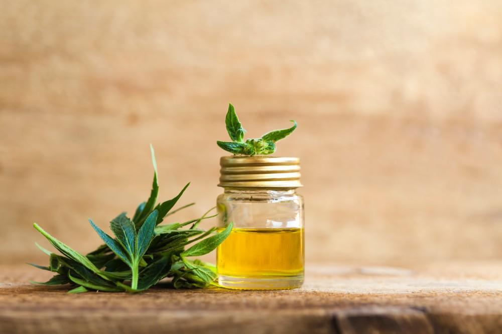 Nature’s Elixir: The Versatility of CBD Oil in Promoting Well-Being
